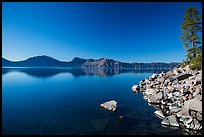 Cleetwood Cove, morning. Crater Lake National Park ( color)