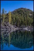 Wizard Island's cinder cone reflected in Governors Bay. Crater Lake National Park ( color)