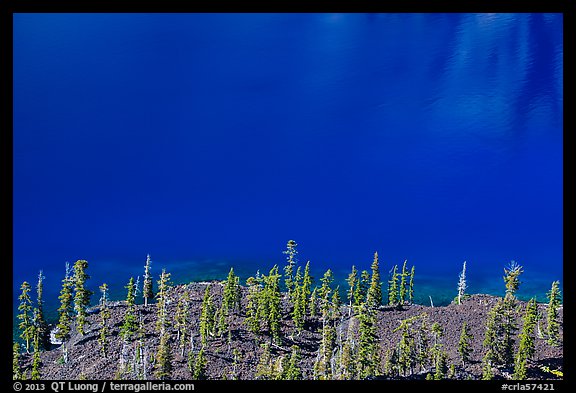 Hemlock trees on lava rocks bordering blue waters of Skell Channel, Wizard Island. Crater Lake National Park, Oregon, USA.