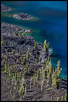 Volcanic shore of Wizard Island seen above. Crater Lake National Park ( color)