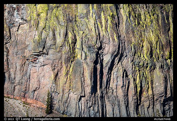 Cliff detail. Crater Lake National Park, Oregon, USA.