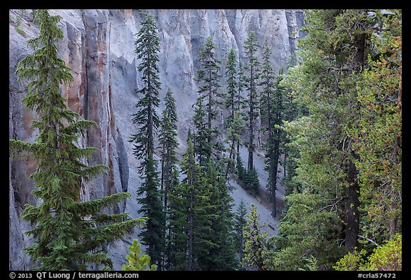 Hemlock and spires of fossilized ash in Munson Creek canyon. Crater Lake National Park, Oregon, USA.