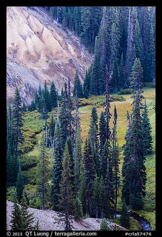 Godfrey Glen Meadow and ash cliffs. Crater Lake National Park (color)
