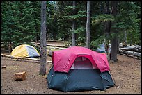 Mazama Village campground. Crater Lake National Park ( color)