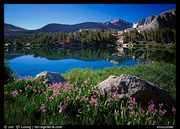Wildflowers and Woods Lake, morning. Kings Canyon National Park (color)