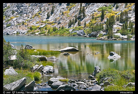 Lake and tree reflections, Lower Dusy Basin. Kings Canyon National Park (color)