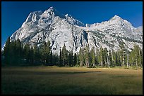 Langille Peak from Big Pete Meadow, morning, Le Conte Canyon. Kings Canyon National Park, California, USA.