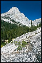 Langille Peak and Granite slab in Le Conte Canyon. Kings Canyon National Park, California, USA.