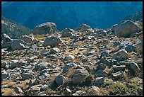 Boulders in meadow above Le Conte Canyon. Kings Canyon National Park ( color)