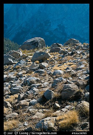 Boulders in meadow and Le Conte Canyon walls. Kings Canyon National Park (color)
