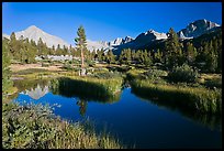 Grasses, creek, and Columbine Peak. Kings Canyon National Park, California, USA. (color)