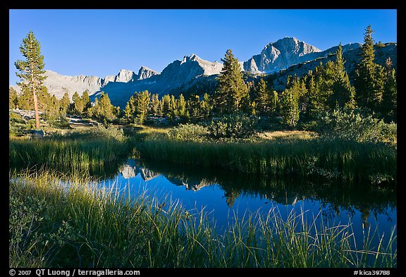 Mountains reflected in calm creek, late afternoon, Lower Dusy basin. Kings Canyon National Park (color)