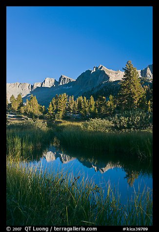 Grasses and mountains reflections, Lower Dusy basin. Kings Canyon National Park, California, USA.