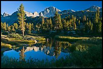Trees, grasses, calm reflections, Lower Dusy basin. Kings Canyon National Park, California, USA.