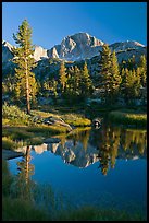 Trees and mountains reflected in calm creek, Lower Dusy basin. Kings Canyon National Park, California, USA. (color)