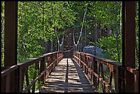 Suspension footbridge to Zumwalt Meadow. Kings Canyon National Park, California, USA. (color)