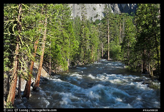 Roaring River in the spring. Kings Canyon National Park, California, USA.