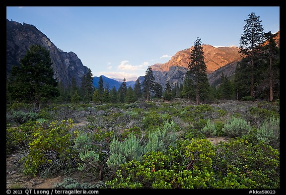 Meadow and cliffs at sunset, Cedar Grove. Kings Canyon National Park (color)