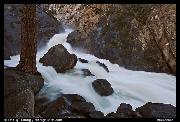 Forceful waterfall rushing through narrow granite chute. Kings Canyon National Park, California, USA.