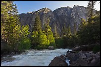 Rushing river and trees, and cliff in spring. Kings Canyon National Park, California, USA. (color)