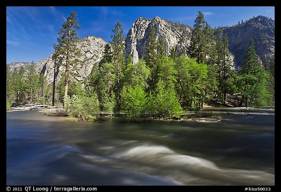 Kings River and trees in the spring, Cedar Grove. Kings Canyon National Park (color)