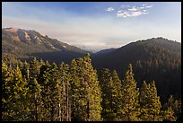 Redwood Mountain valley. Kings Canyon National Park ( color)