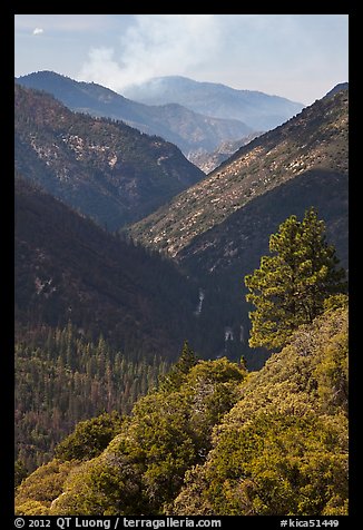 Valley carved by the Kings River. Kings Canyon National Park (color)