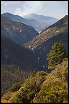 Valley carved by the Kings River. Kings Canyon National Park, California, USA. (color)