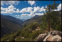 Canyon of the Kings River from Cedar Grove Overlook. Kings Canyon National Park, California, USA. (color)