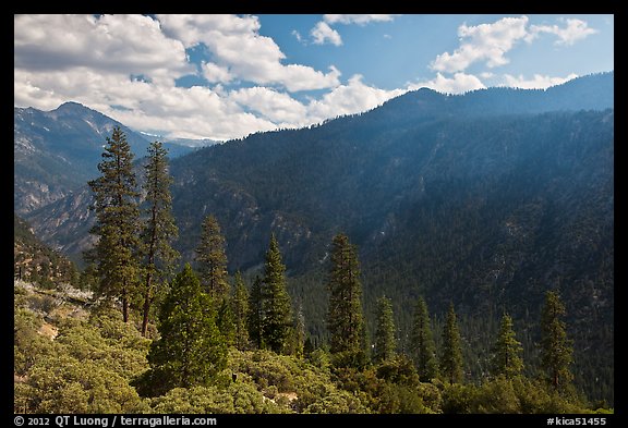 Cedar Grove valley seen from North Rim. Kings Canyon National Park (color)