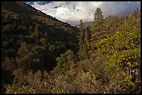 Lewis Creek. Kings Canyon National Park ( color)