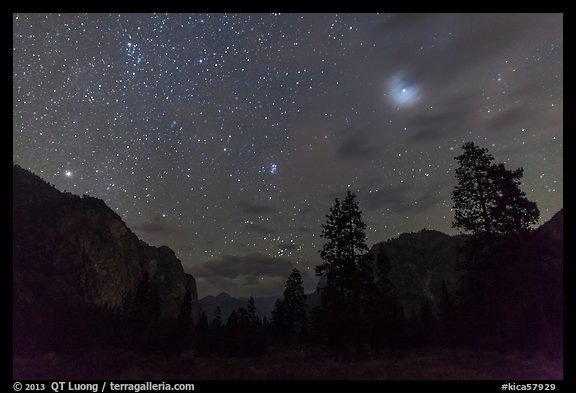 Trees and cliffs at night, Cedar Grove. Kings Canyon National Park (color)