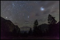 Trees and cliffs at night, Cedar Grove. Kings Canyon National Park ( color)