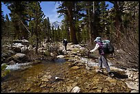 Hikers crossing a stream near Bubbs Creek, Kings Canyon National Park. California ( color)