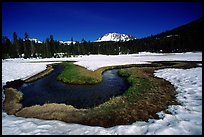 Stream in partly snow-covered Kings Creek meadows, morning. Lassen Volcanic National Park, California, USA.