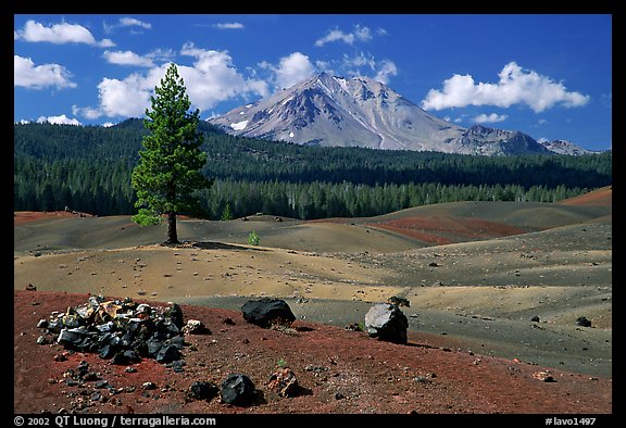 Painted dunes, pine tree, and Lassen Peak. Lassen Volcanic National Park, California, USA.