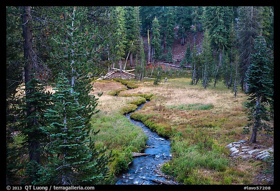 Kings Creek, meadow and forest. Lassen Volcanic National Park (color)