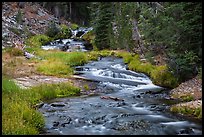 Kings Creek cascades in forest. Lassen Volcanic National Park ( color)