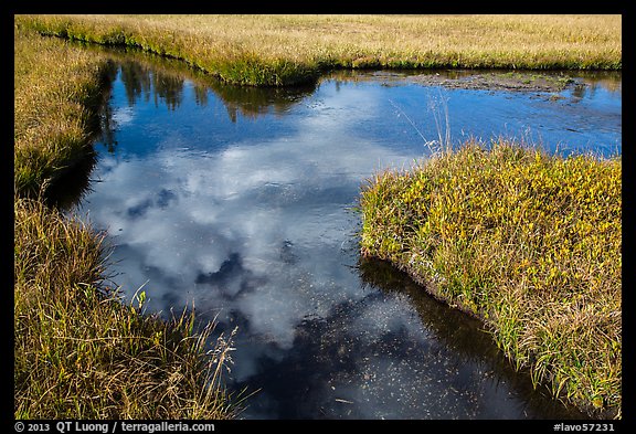 Cloud reflected in Kings Creek. Lassen Volcanic National Park, California, USA.