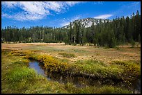 Upper Meadow with stream in late summer. Lassen Volcanic National Park ( color)