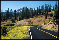 Road passing by Rabbitbrush in bloom. Lassen Volcanic National Park ( color)