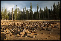 Boulders in dried lake. Lassen Volcanic National Park ( color)