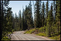 Gravel road. Lassen Volcanic National Park ( color)
