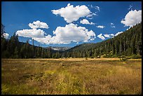 Drakesbad meadow, Warner Valley. Lassen Volcanic National Park ( color)