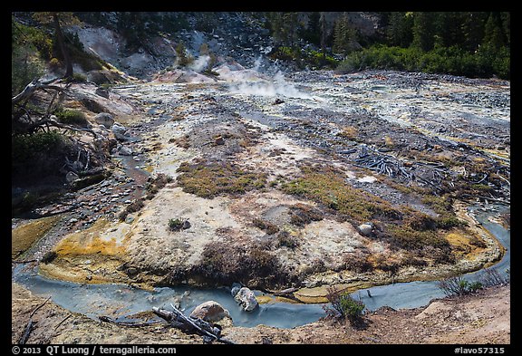 Stream and fumaroles, Devils Kitchen. Lassen Volcanic National Park, California, USA.
