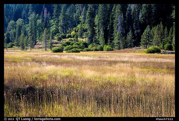 Drakesbad meadow, late summer. Lassen Volcanic National Park (color)