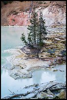 Shore of Boiling Springs Lake. Lassen Volcanic National Park ( color)