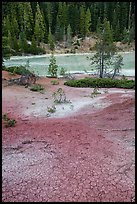 Red cracked mud next to Boiling Springs Lake. Lassen Volcanic National Park, California, USA.