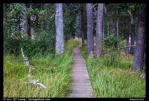 Boardwalk in meadow, Hot Springs Creek. Lassen Volcanic National Park (color)