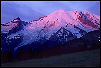 North Face of Mt Rainier, sunrise. Mount Rainier National Park ( color)